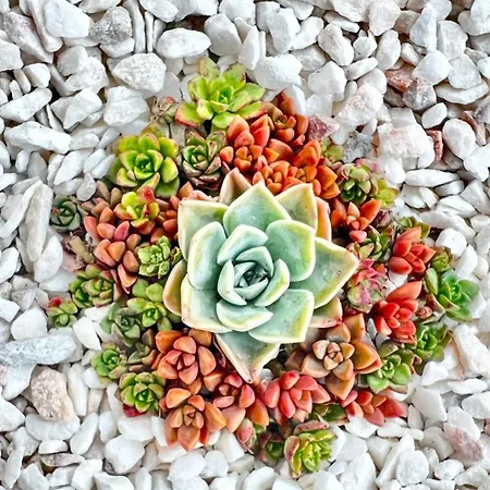 Lovely House With Stunning View Villa Sesimbra