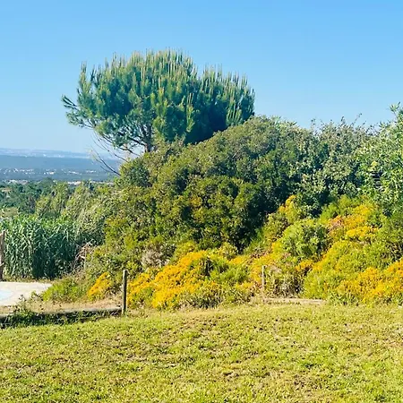 Villa Lovely House With Stunning View