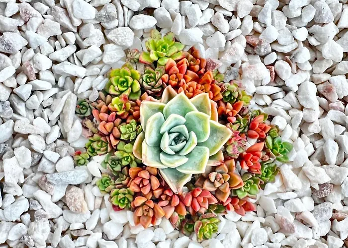 Lovely House With Stunning View Villa Sesimbra